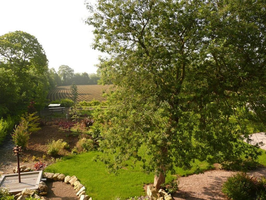 La Ferme Du Pere Hotel Kermoroc'h Exterior photo